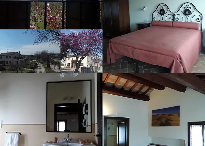 Fattoria Della Bilancia * San Giovanni In Marignano