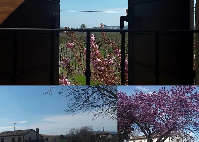 Fattoria Della Bilancia * San Giovanni In Marignano