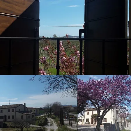 Fattoria Della Bilancia * サン・ジョヴァンニ・イン・マリニャーノ